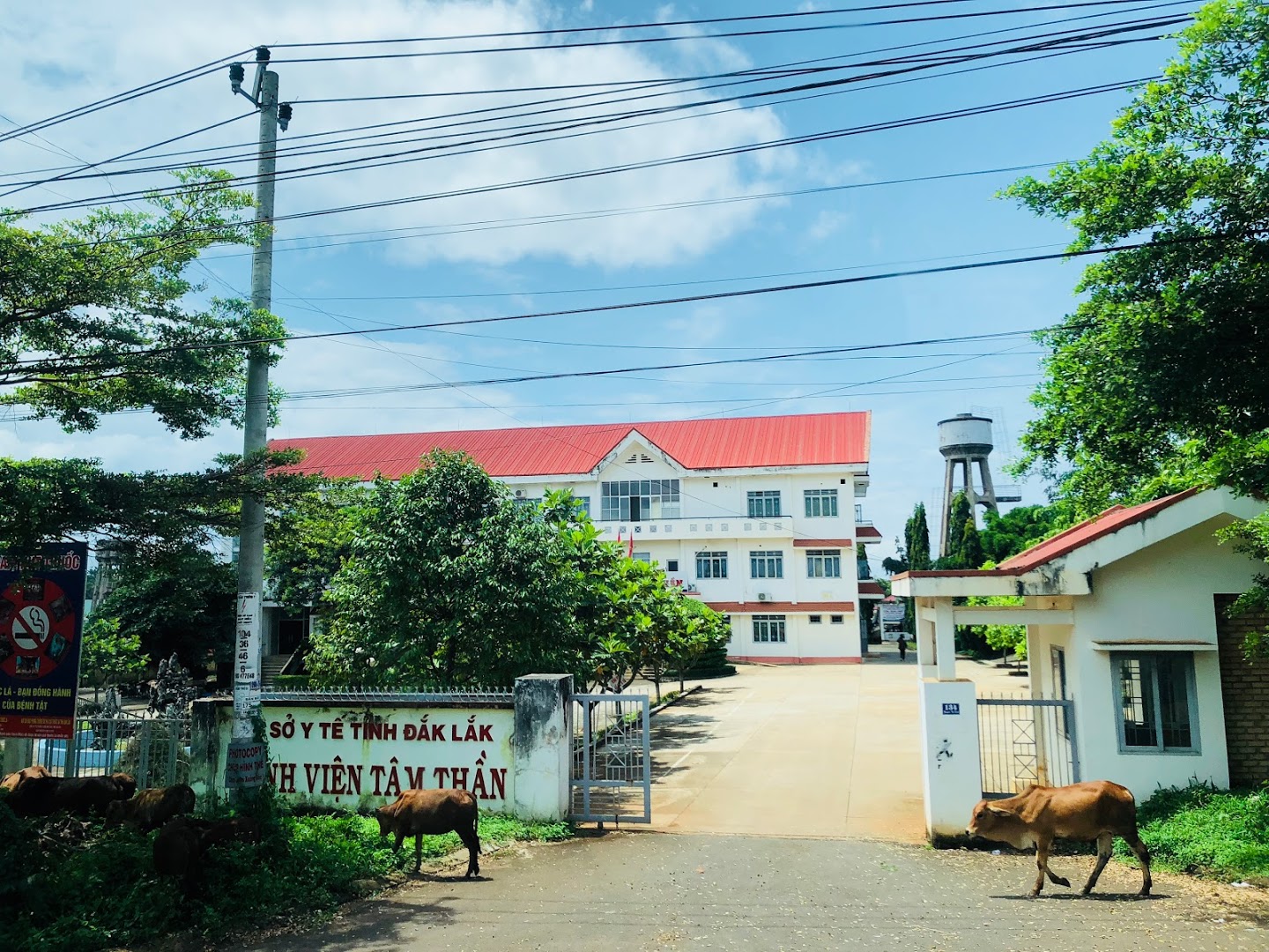 Bệnh viện Tâm thần Đắk Lắk